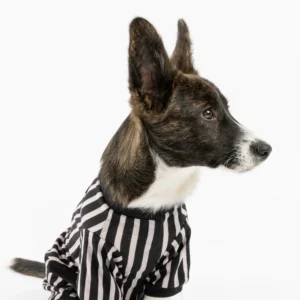 Dog Pajama - Stripe